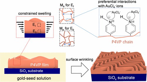 Illustration of research results