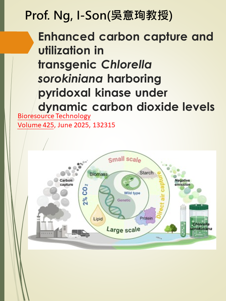 高影響 論文介紹
